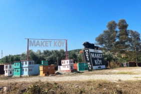 maket-koy-1