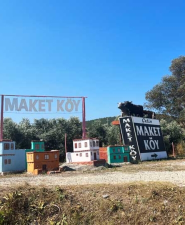 maket-koy-1