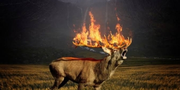 images (10)