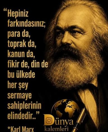 images (11)
